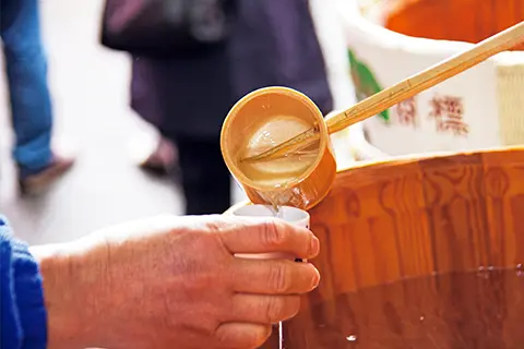 Tasting the new sake